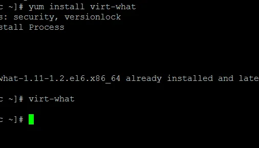 Linux システムで VPS の仮想アーキテクチャを確認する