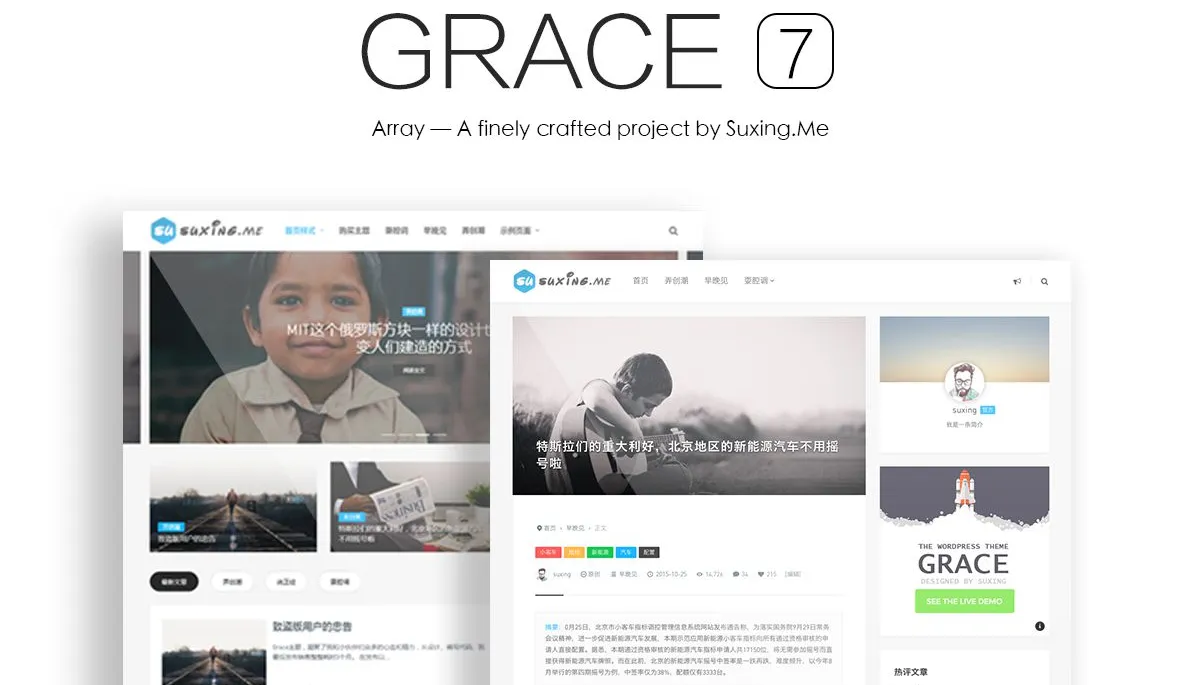 WordPress Theme Grace Free Download
