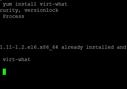Linux 系统查看 VPS 的虚拟架构