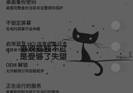 努比亚 Z17 mini 刷入 Android 8 教程