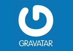 Gravatar 头像本地缓存 WordPress 插件