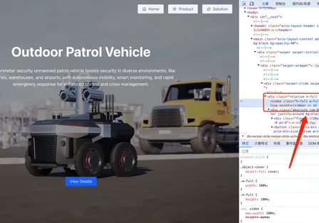 HTML Video 在 Vue 中消失的 muted 属性