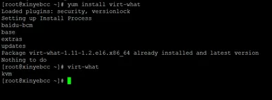 Linux 系统查看 VPS 虚拟化架构，支持 KVM、OpenVZ