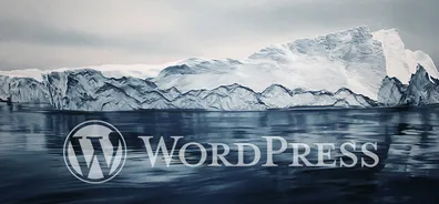 WordPress 获取主题样式表中的详细配置信息