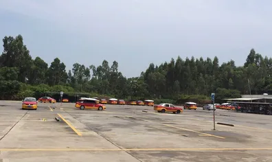 努力不会幸运，但至少不会太惨