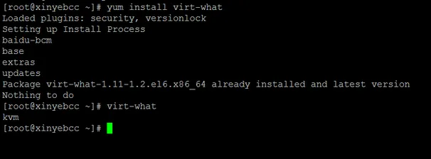 Viewing the Virtualization Architecture of a VPS on Linux