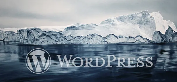 WordPress 获取主题样式表中的详细配置信息
